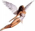 Ange
